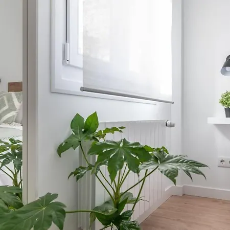 Apartamento G29- Centrico Santander-must *